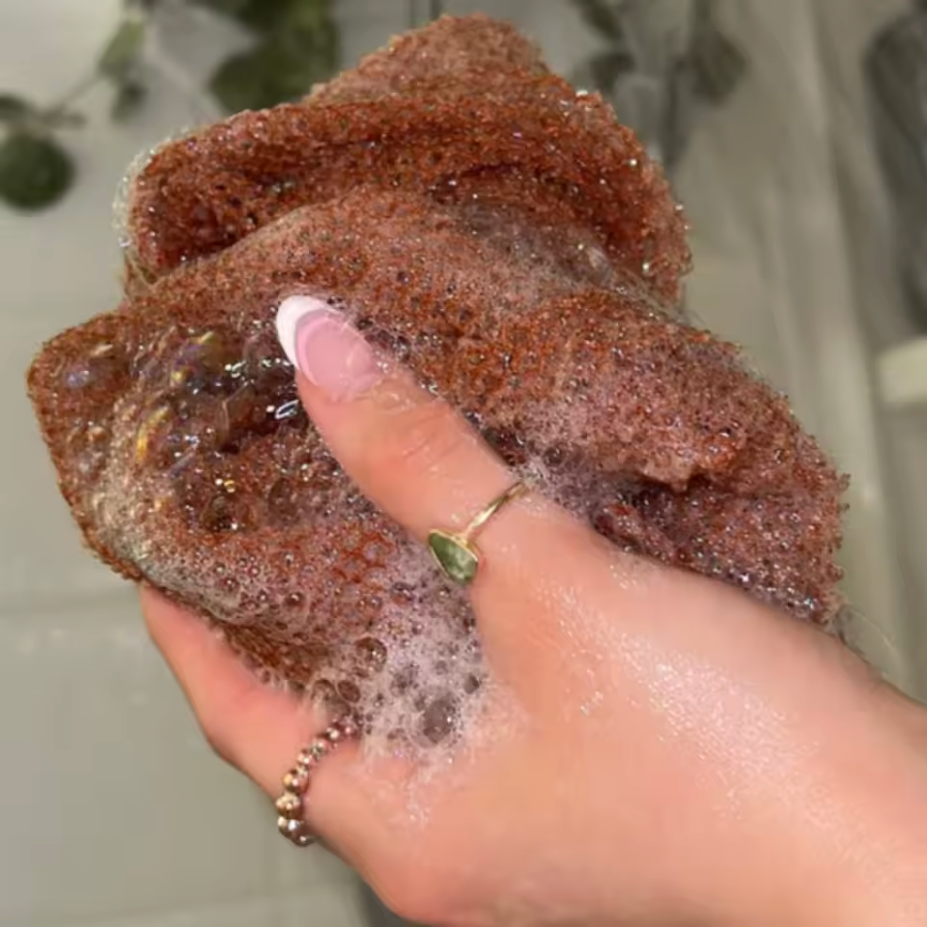 African Net Sponge